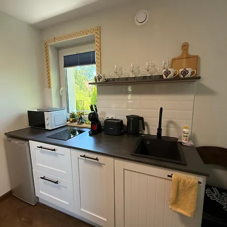 Piekne Z Widokiem Na Gory ,sauna, Kominek, Darmowy Parking , 5km Do Zakopanego Appartement Biały Dunajec