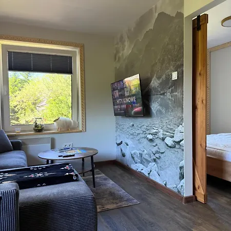 Appartement Piekne Z Widokiem Na Gory ,sauna, Kominek, Darmowy Parking , 5km Do Zakopanego Biały Dunajec