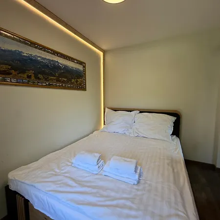 Appartement Piekne Z Widokiem Na Gory ,sauna, Kominek, Darmowy Parking , 5km Do Zakopanego