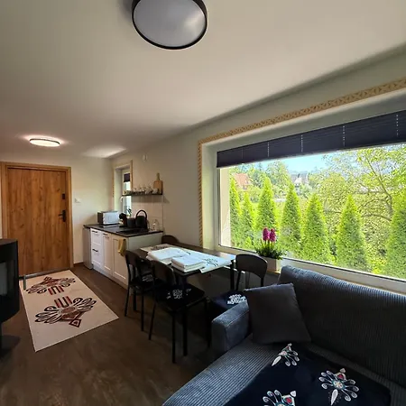 Appartement Piekne Z Widokiem Na Gory ,sauna, Kominek, Darmowy Parking , 5km Do Zakopanego *