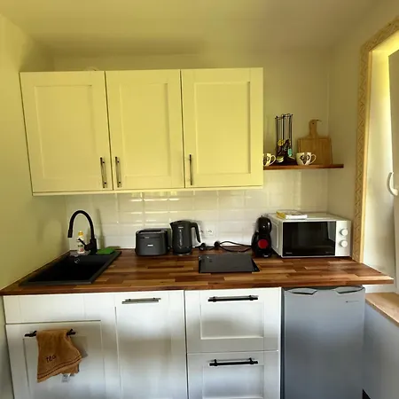 Appartement Piekne Z Widokiem Na Gory ,sauna, Kominek, Darmowy Parking , 5km Do Zakopanego
