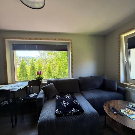 Piekne Z Widokiem Na Gory ,sauna, Kominek, Darmowy Parking , 5km Do Zakopanego Appartement *